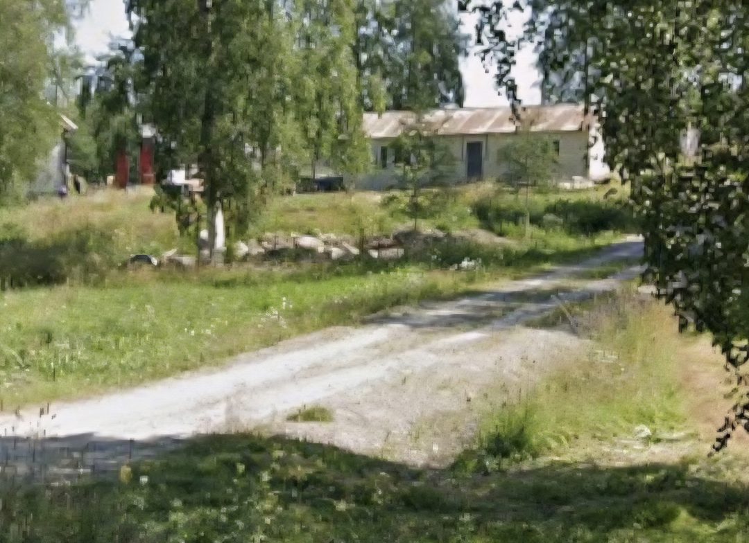 Björnsjödagen