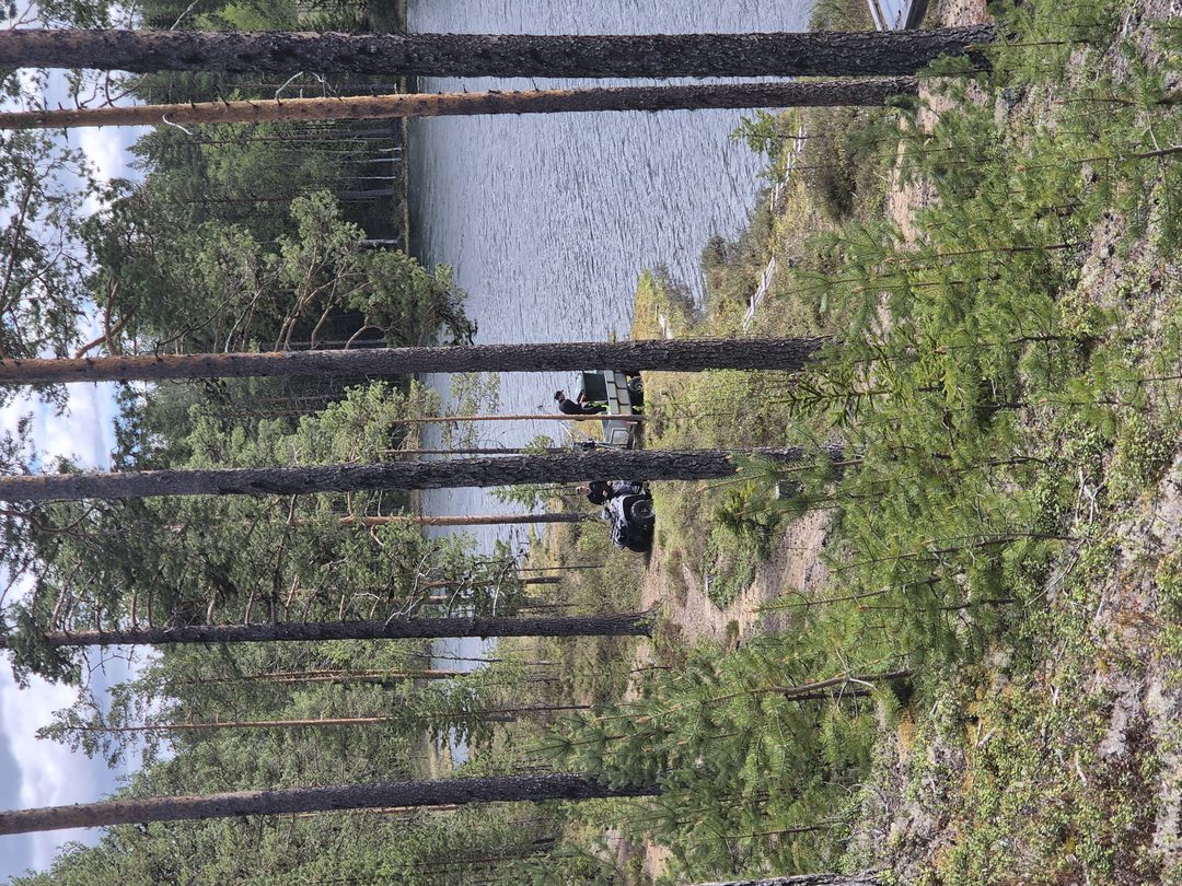 Fiskepremiär