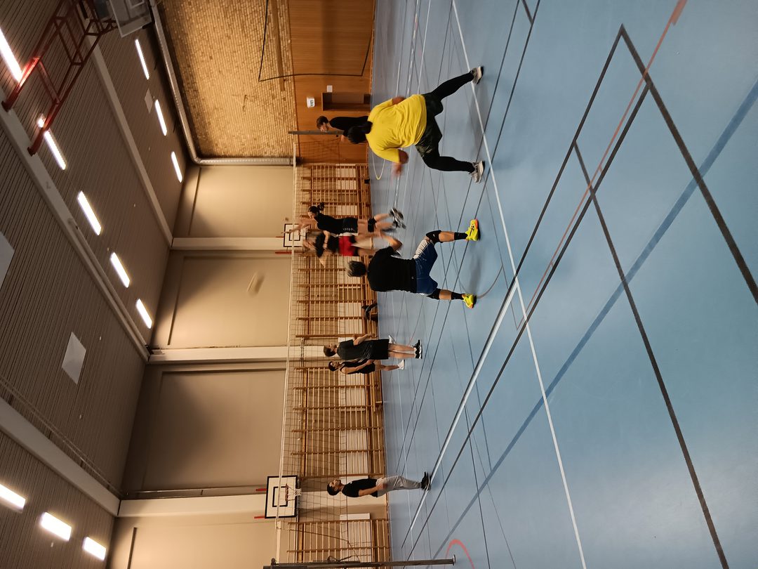Volleyboll